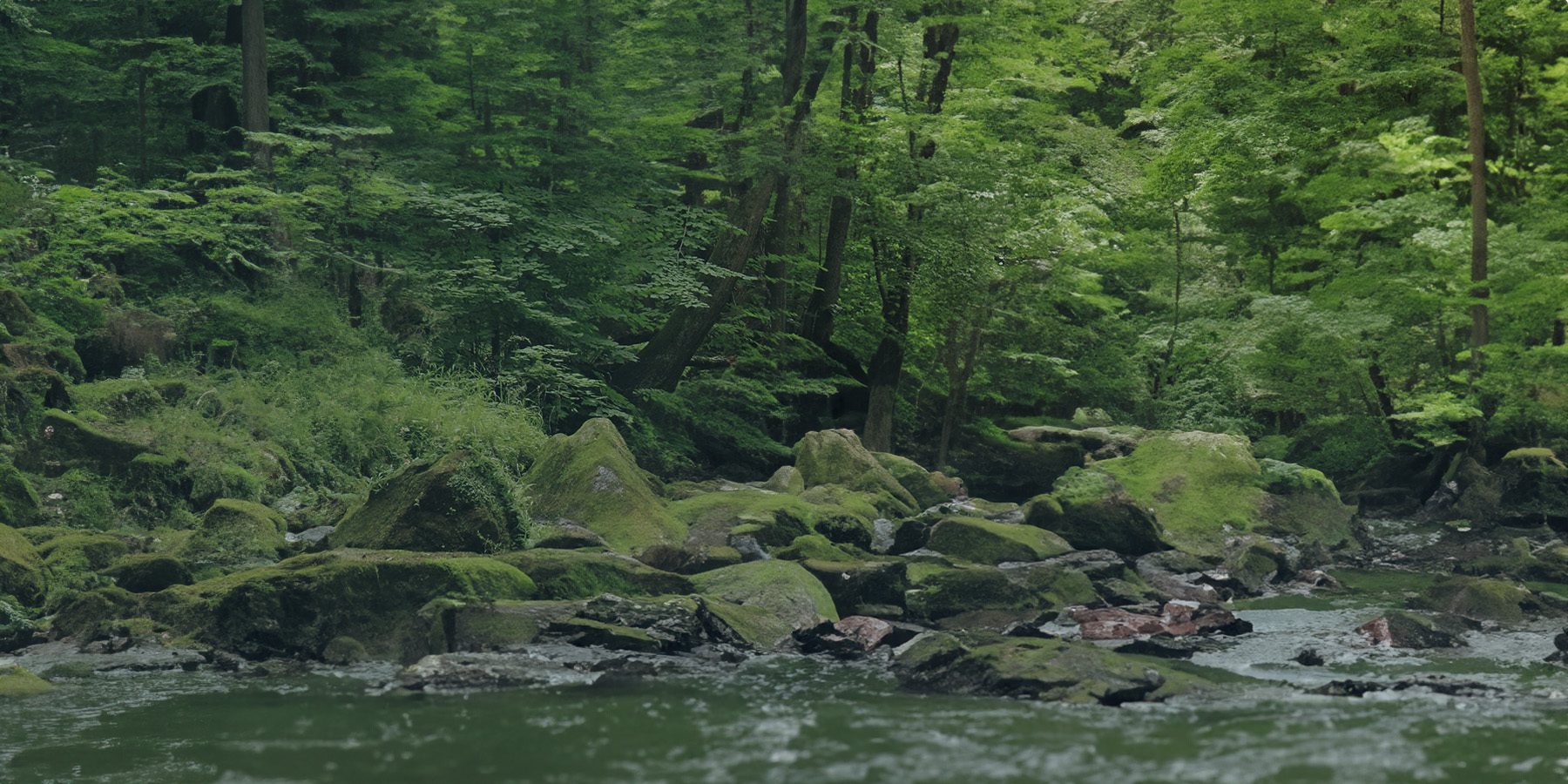 SUPPORTING OUR COMMUNITIES Banner Logo