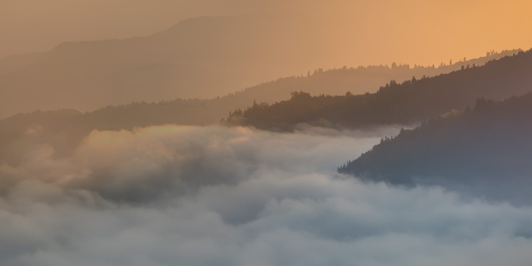 INVESTMENT PHILOSOPHY Banner Logo