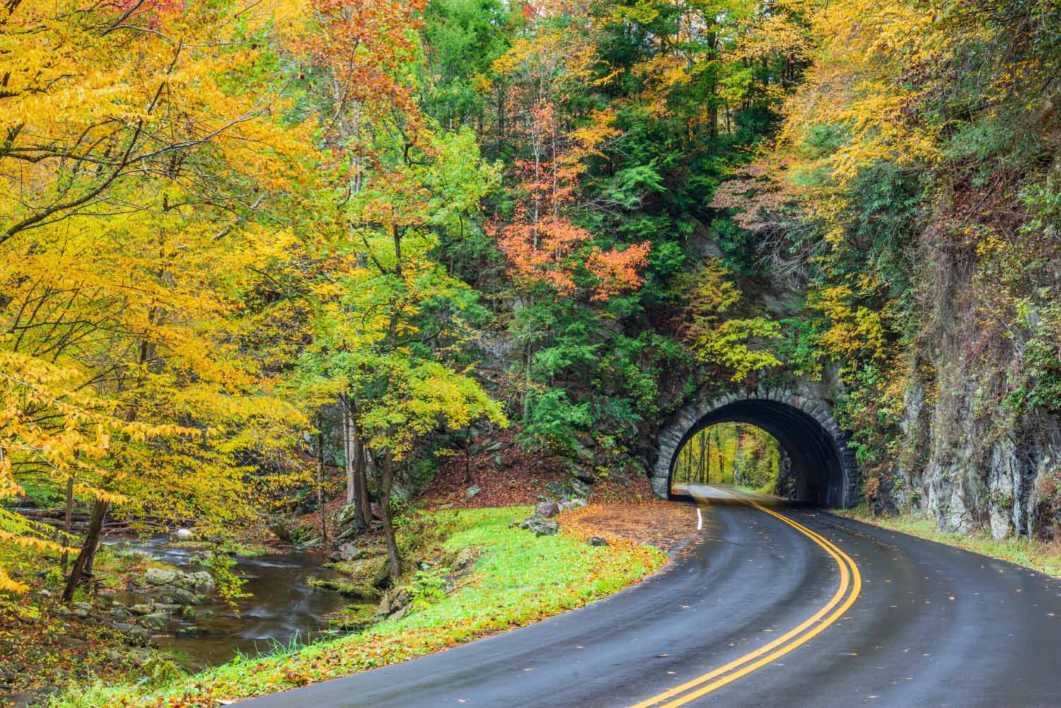RECORDKEEPING & ADMINISTRATION Banner Logo